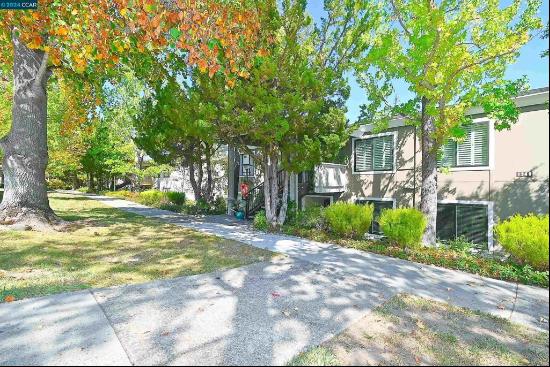 1348 Running Springs Rd #3, Walnut Creek CA 94595