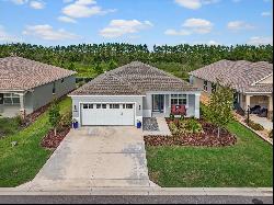 7987 SW 89th Circle, Ocala FL 34481