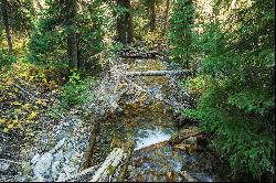 3 Acres of Big Cottonwood Canyon, Ready To Build