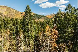 3 Acres of Big Cottonwood Canyon, Ready To Build