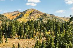 3 Acres of Big Cottonwood Canyon, Ready To Build