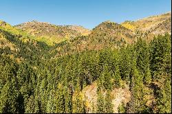 3 Acres of Big Cottonwood Canyon, Ready To Build