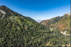 3 Acres of Big Cottonwood Canyon, Ready To Build