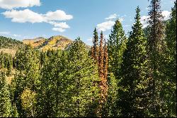 3 Acres of Big Cottonwood Canyon, Ready To Build