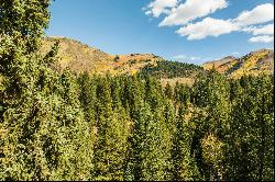 3 Acres of Big Cottonwood Canyon, Ready To Build