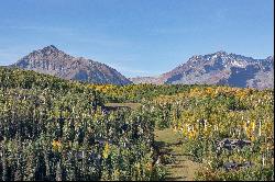 Fantastic Lot With 360 Degree Views Of The Entire Telluride Region