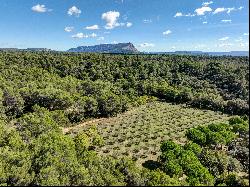 le summum du luxe et du charme provençal.