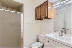 505 Bellevue Place #4, Austin, TX 78705