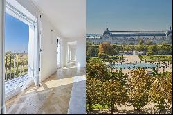 Stunning views of Tuileries gardens and Paris monuments