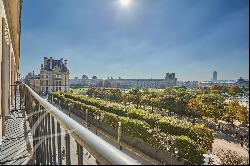 Stunning views of Tuileries gardens and Paris monuments