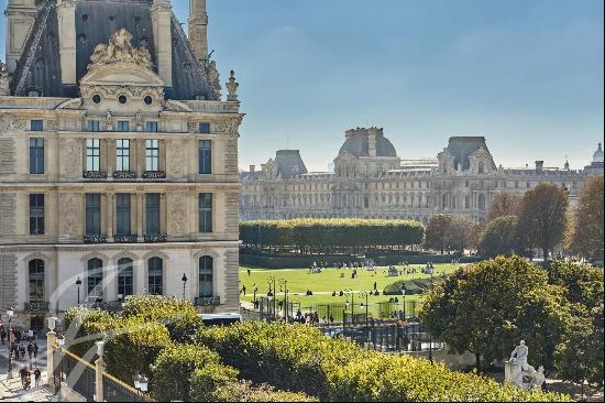 Stunning views of Tuileries gardens and Paris monuments