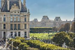 Stunning views of Tuileries gardens and Paris monuments