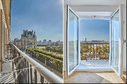 Stunning views of Tuileries gardens and Paris monuments