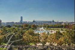 Stunning views of Tuileries gardens and Paris monuments