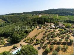 Beautiful farmhouse with olive trees