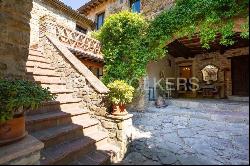 Beautiful farmhouse with olive trees