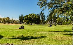 68-3890 Paniolo Avenue, Waikoloa Village, HI 96738