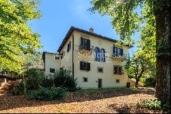 Historic villa on the hills of Fiesole