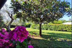 Villa with pool surrounded by greenery near Fano