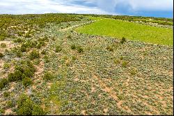 19.44-acre Gem in La Sal, Utah: Embrace Nature's Majesty on Expansive Land