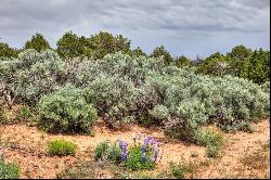 19.44-acre Gem in La Sal, Utah: Embrace Nature's Majesty on Expansive Land