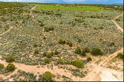 19.44-acre Gem in La Sal, Utah: Embrace Nature's Majesty on Expansive Land