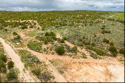 19.44-acre Gem in La Sal, Utah: Embrace Nature's Majesty on Expansive Land