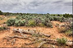 19.44-acre Gem in La Sal, Utah: Embrace Nature's Majesty on Expansive Land