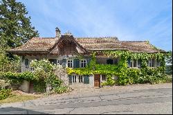 Village house to restore