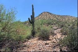 Desert Crest at Troon Ridge 