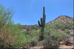 Desert Crest at Troon Ridge 