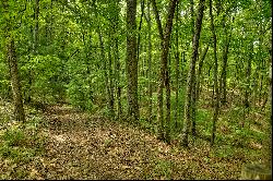 Over Seven Acres in the North Georgia Mountains