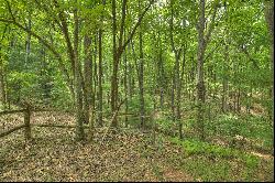 Over Seven Acres in the North Georgia Mountains