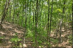 Over Seven Acres in the North Georgia Mountains