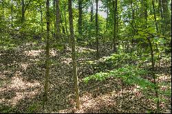 Over Seven Acres in the North Georgia Mountains