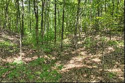 Over Seven Acres in the North Georgia Mountains