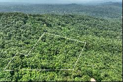 Over Seven Acres in the North Georgia Mountains