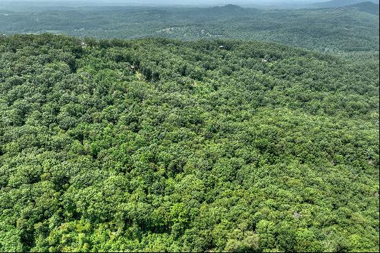 Over Seven Acres in the North Georgia Mountains