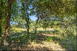 22006 Plockton Drive, Spicewood, TX 78669