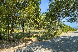 22006 Plockton Drive, Spicewood, TX 78669