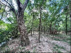 797+/- Acres Guadalupe River Ranch , Cuero , TX 77954