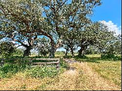 797+/- Acres Guadalupe River Ranch , Cuero , TX 77954