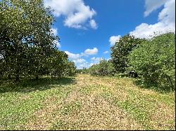 797+/- Acres Guadalupe River Ranch , Cuero , TX 77954