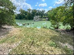 797+/- Acres Guadalupe River Ranch , Cuero , TX 77954