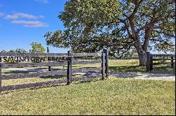 Picturesque 88.9 Acre Slice of Texas History, known as Saving Grace Ranch!