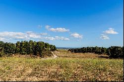 Vue fabuleuse proche Perpignan: env, 500sqm sur 14,6 hectares