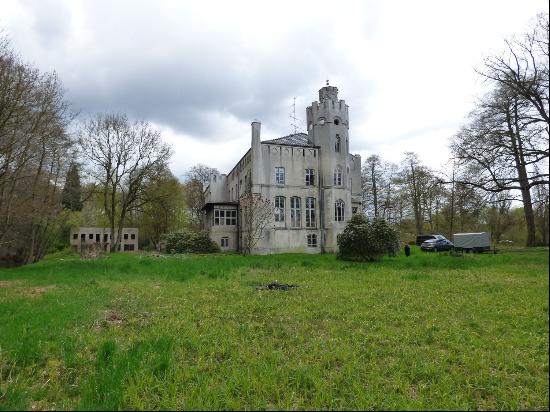 opportunity to finish restoring an 1860 manor house