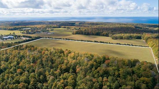 Harbor Springs