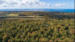 TBD W Robinson Road, Harbor Springs MI 49740