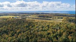 TBD W Robinson Road, Harbor Springs MI 49740